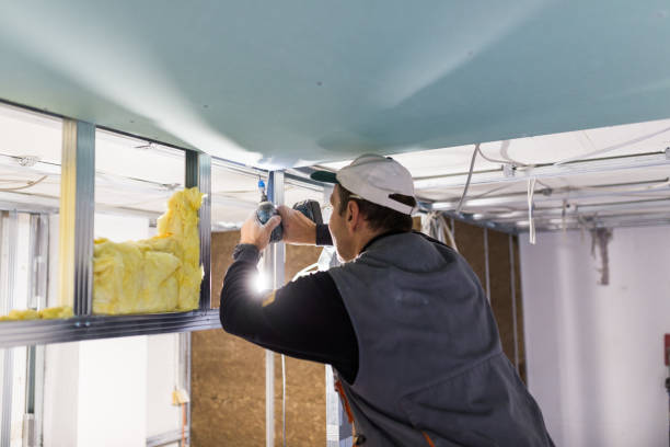 Best Insulation Maintenance and Repair in Westwood, MI